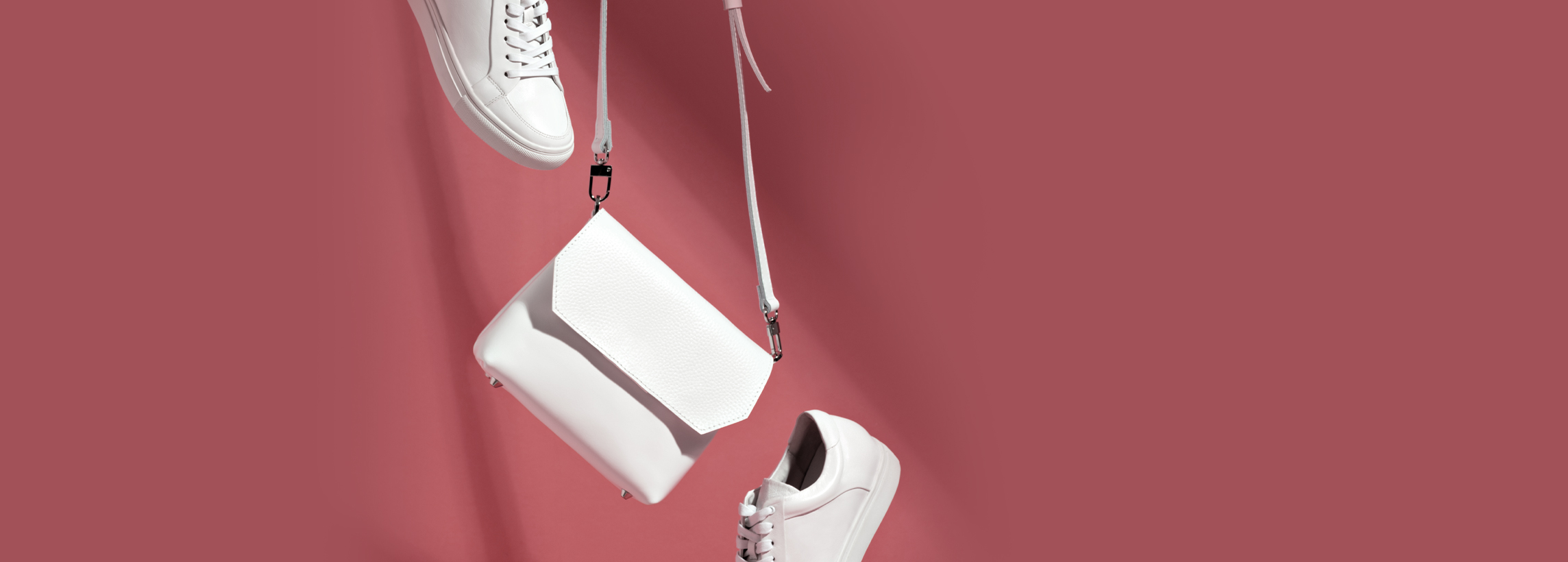 Éditions Paleo DE BUSSAC DIFFUSION