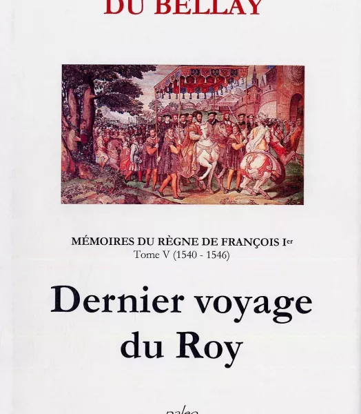 Martin et Guillaume DU BELLAY